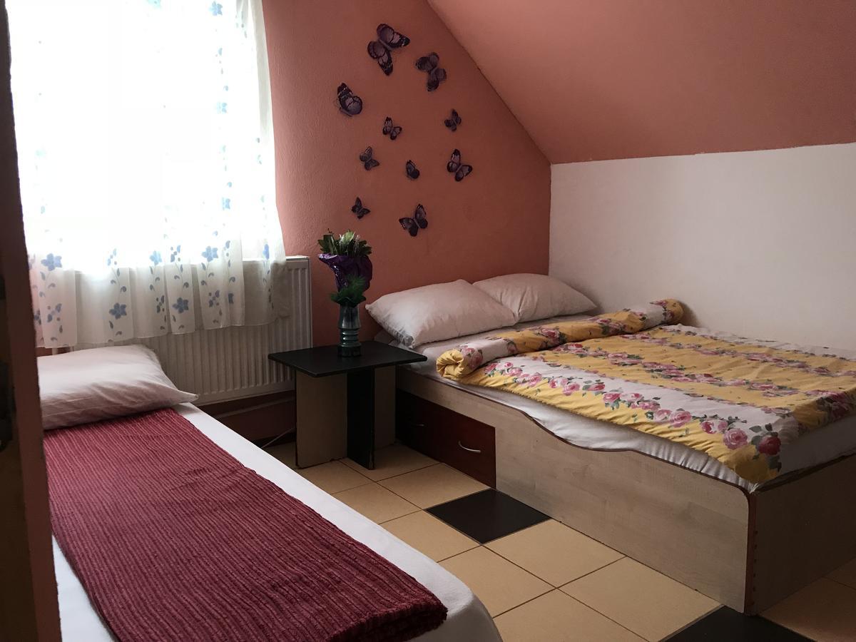 Apartamente Muncitori Strugurilor 53 Sibiu Exterior foto