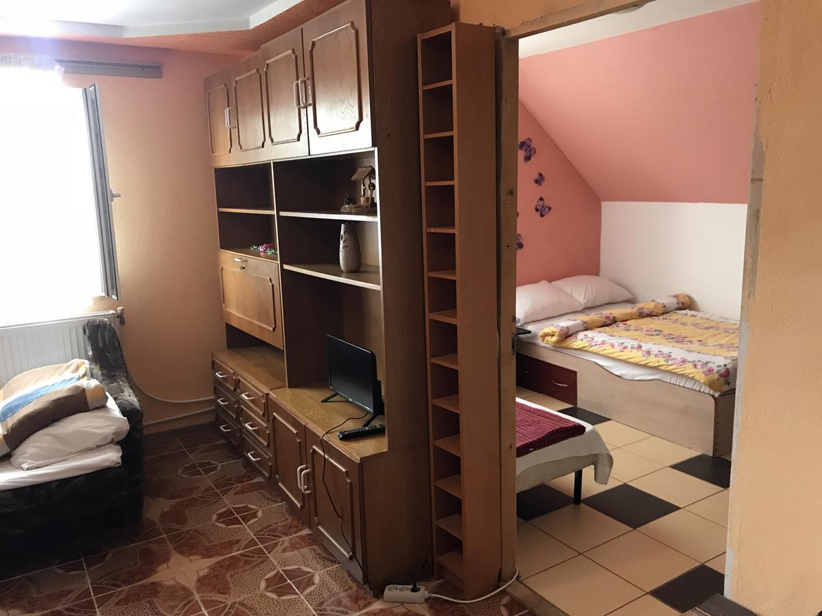 Apartamente Muncitori Strugurilor 53 Sibiu Exterior foto