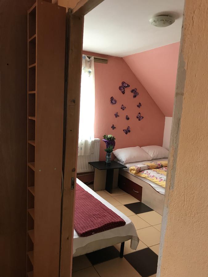 Apartamente Muncitori Strugurilor 53 Sibiu Exterior foto