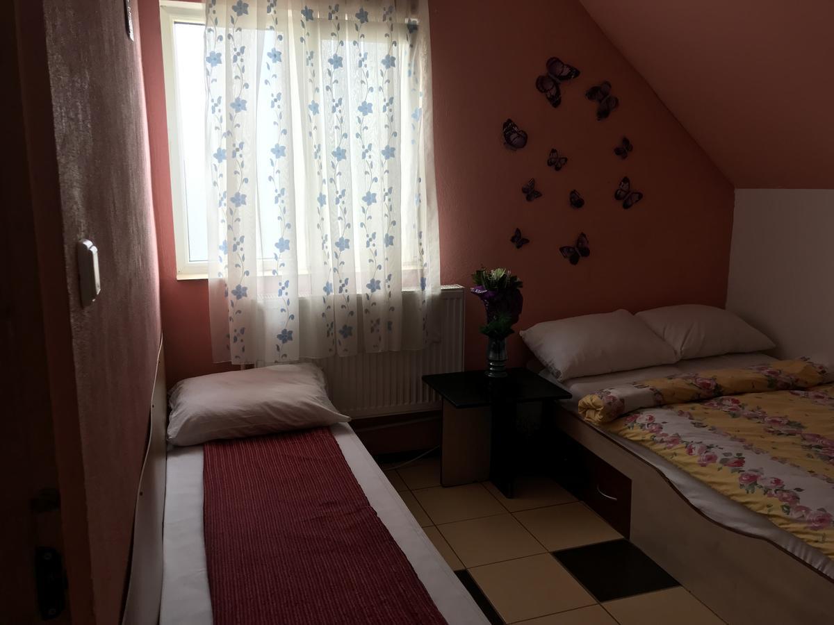 Apartamente Muncitori Strugurilor 53 Sibiu Exterior foto