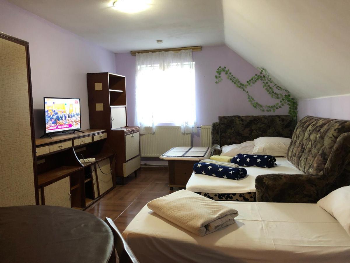 Apartamente Muncitori Strugurilor 53 Sibiu Exterior foto